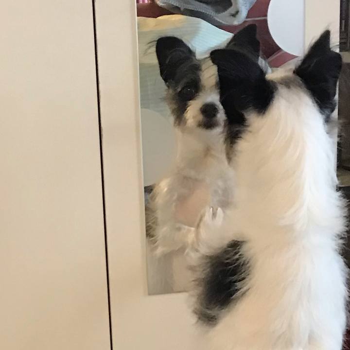 E9e9bbbc eb57 4026 ab3c ce35bf7c3b50 1541234675487