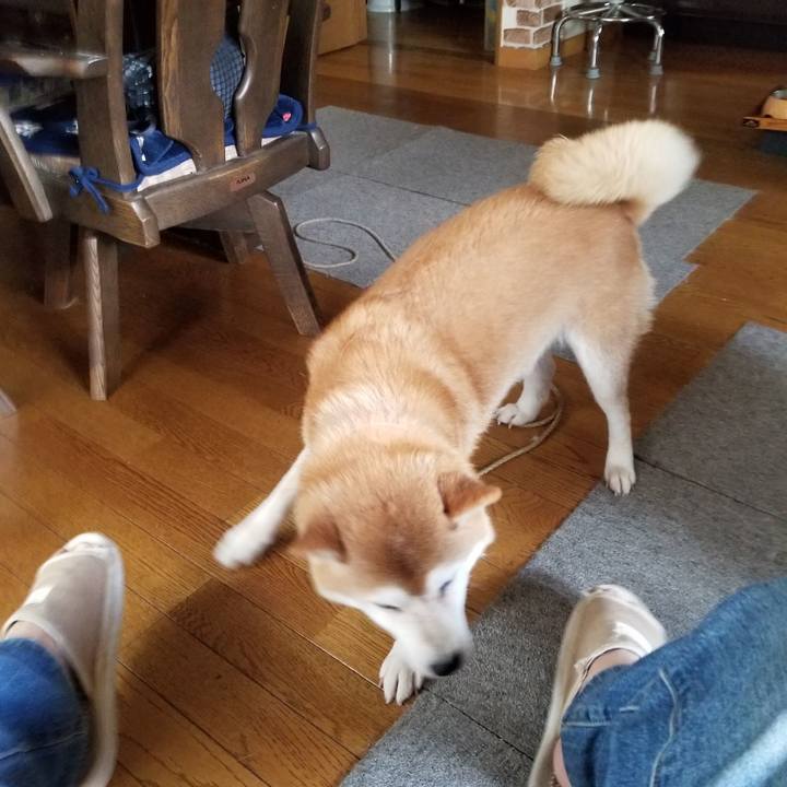 E9ea1a9a db68 4cb8 adf1 ca19a0a9a304 1627626855677