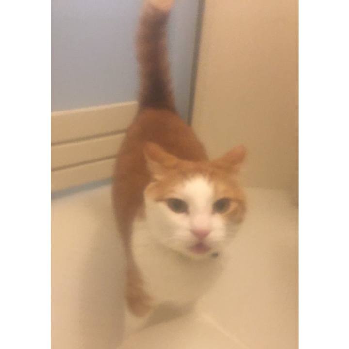 E9ea2729 5410 49c2 ac33 5a6c12e7a836 1586091811225