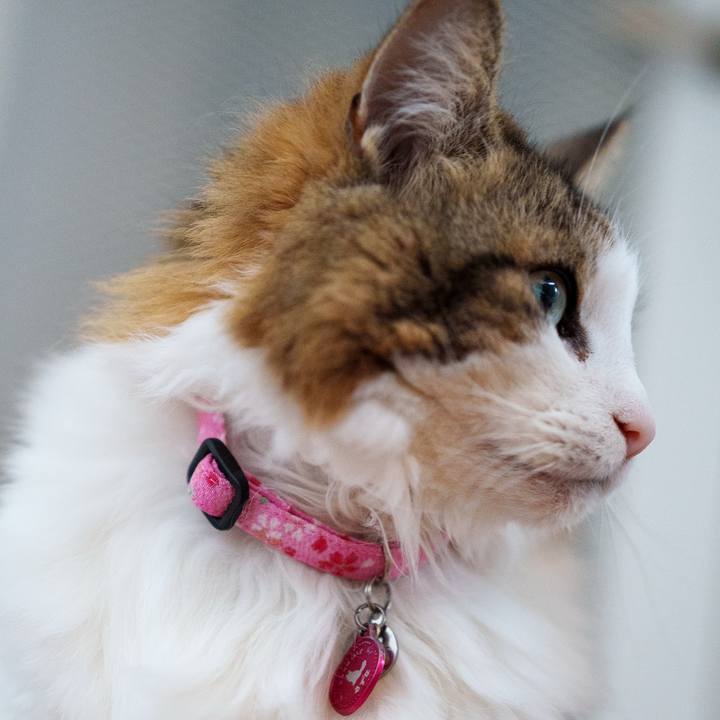 E9ea3097 5e09 4137 b1de 2532929005fc 1741596520415