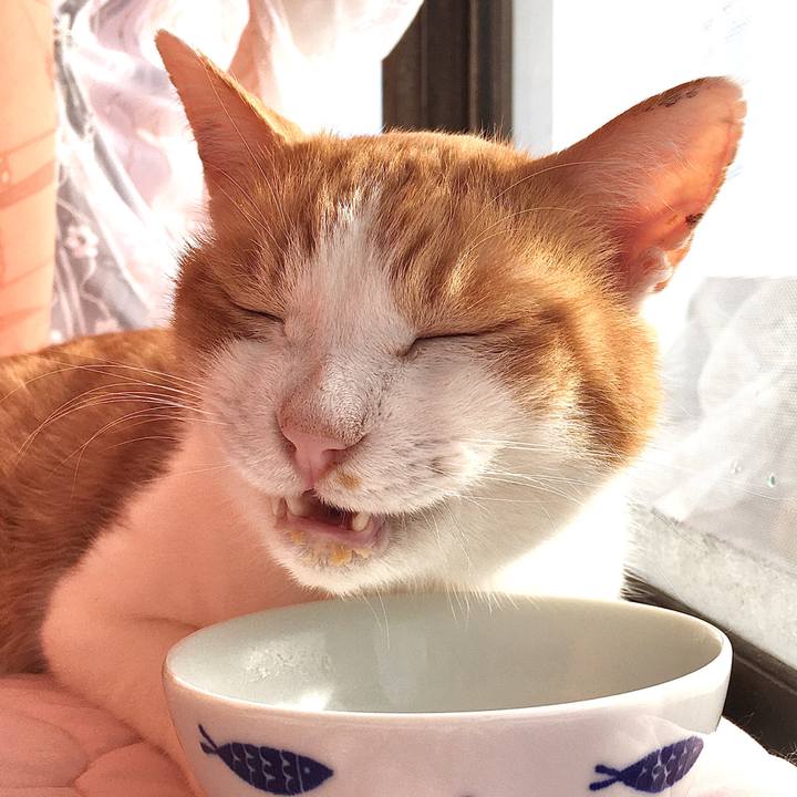 E9ea3545 986f 4b72 a727 3a5f670baacd 1577501357340