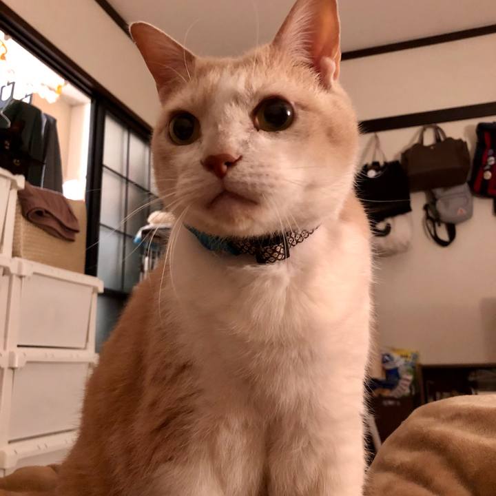 E9ea8390 5655 4beb be87 539ea4f5eb8f 1611790987161