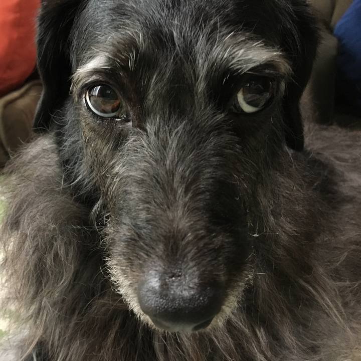 E9ea86b5 6984 462e a981 5da55e1b4a34 1570837373785