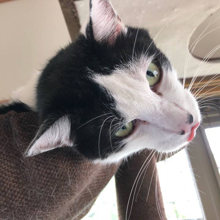 E9eb377c 24a7 460d 9d35 ae99c2d9198e 1562990362774