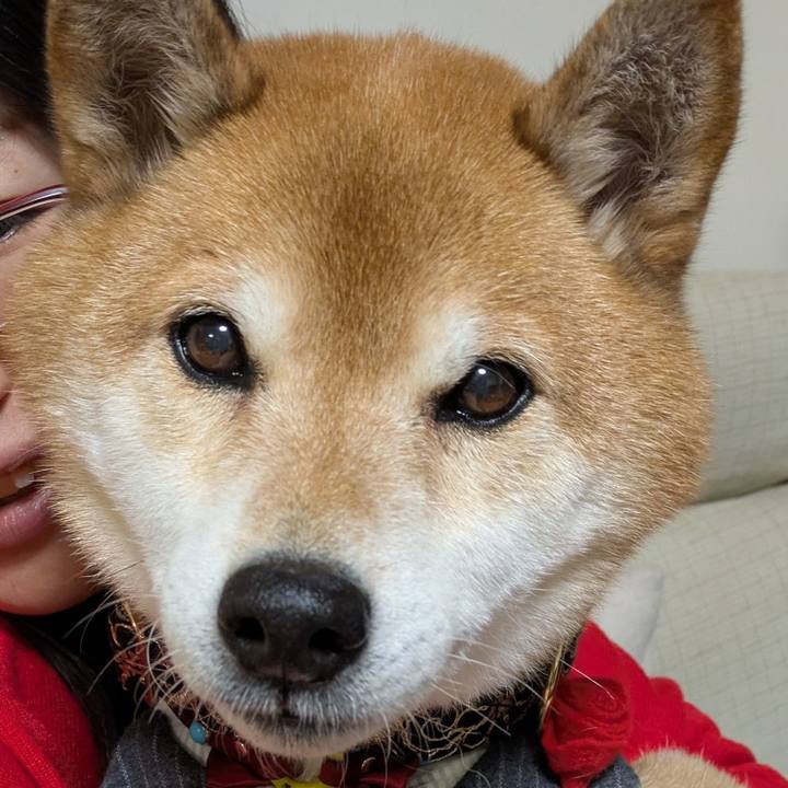 E9eb7259 2607 425f 8570 2785138eb0b5 1767362764138