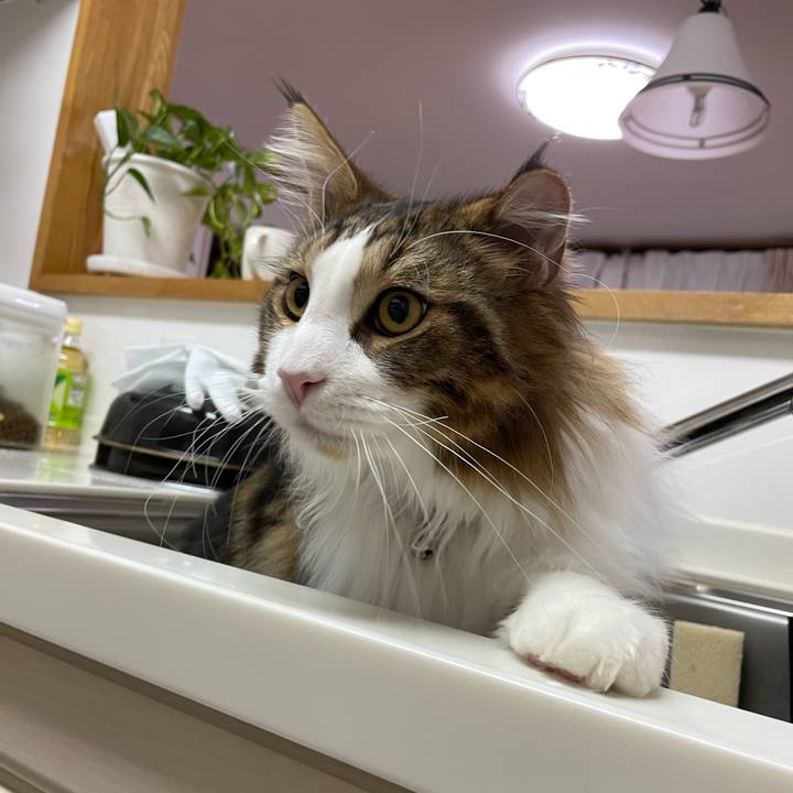 E9eb79df a8e3 4f37 9d7b 923c07207df2 1646597185367