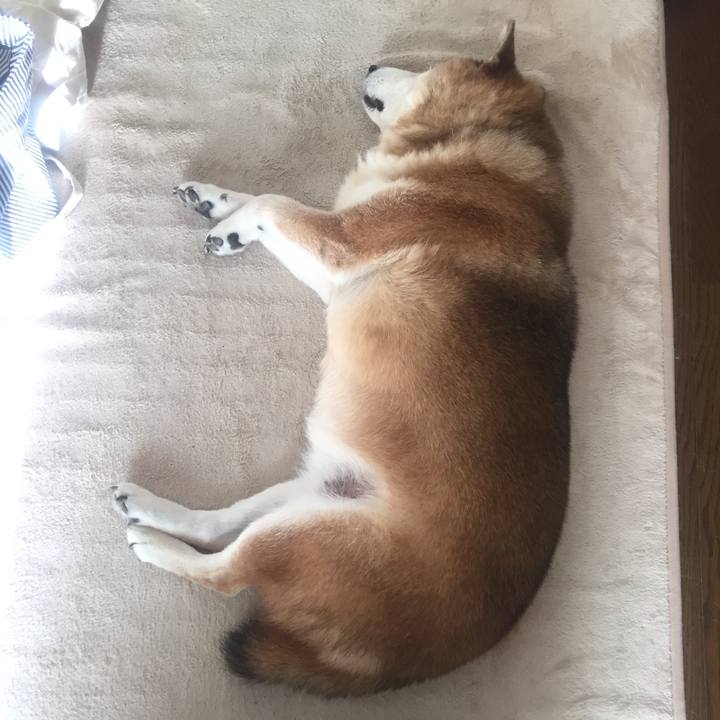 E9eba25e 8bab 4ed9 a7cd b48a0499b8a1 1535097384767