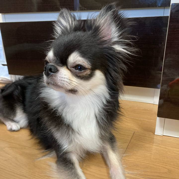 E9ebb076 70ba 45a4 8eb7 d90561d907df 1662867576739