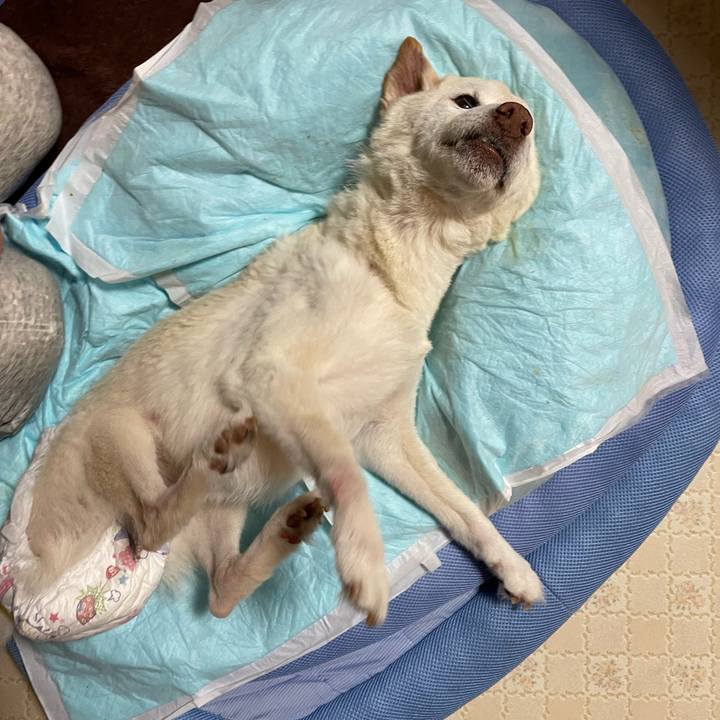 E9ebbb3b 60cb 4a97 bcb3 5703cc65cd51 1679493595647