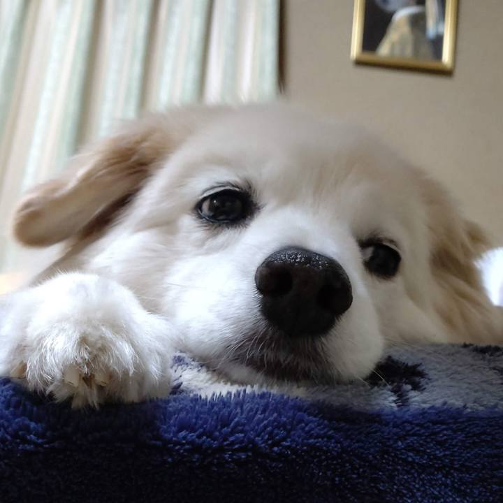 E9ebc5c4 33fc 483e b78d 9256b0dedf17 1650115487274