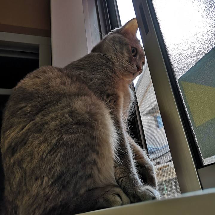 E9ebdac2 1059 470e 99d8 489468ebfc2a 1568345885636