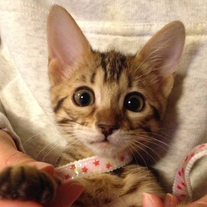 E9ebe9c5 9cb1 4f8e aa0b 2c3b94f1824c 1656559346268