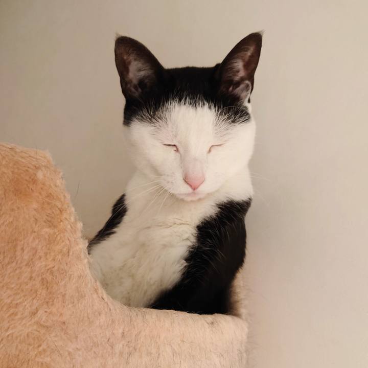 E9ec32fb a2e0 4060 97ef 789db0e84e62 1639453635035