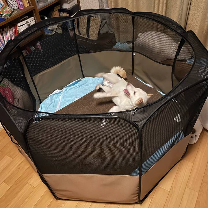 E9ec5f72 4899 4848 94ce e5c8d1da7ed1 1665155523778