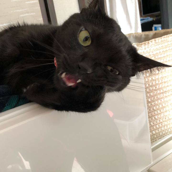 E9ec60fe d05c 4bd0 83b1 5f3b10888178 1523659730871