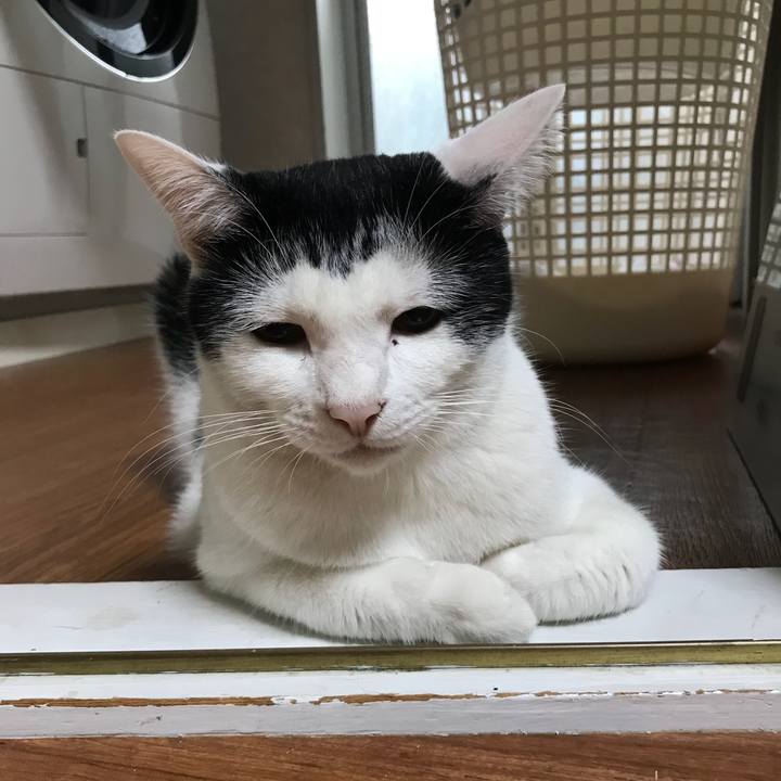 E9ec7d7e 2ff8 4fe2 8fd5 2f204c6c231f 1534718088189