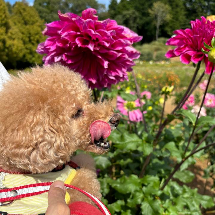 E9eca273 4e88 4f61 a2c9 4b33dc17fbf0 1730175403223