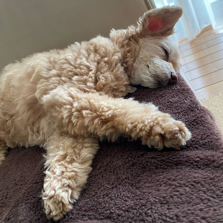 E9eca6b1 b031 418f aa8a e03dab77b559 1681278688923