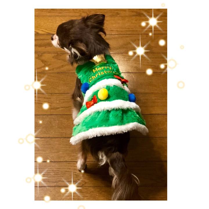 E9ecaff0 d072 426b 885b c93e9c8a3286 1514126501665