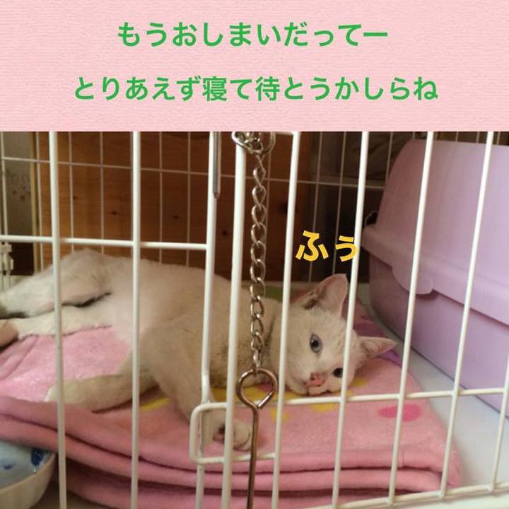 E9ecd1b5 aad2 4b37 a6e2 b025f6a84011 1560656409140