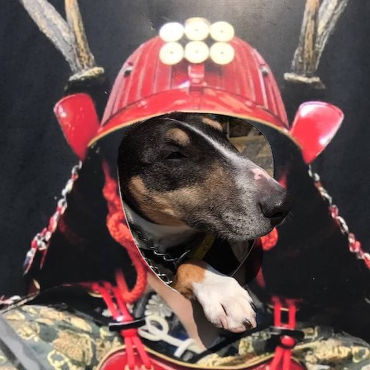 E9ed1475 ecac 4b93 9957 0565360831e6 1510905939471