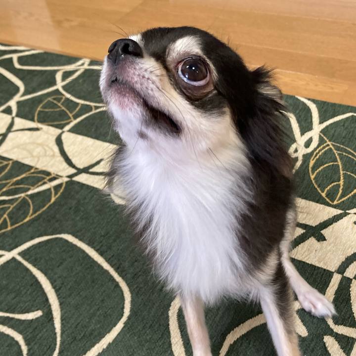 E9ed234a 3cfc 4899 8909 b0cef9d2ef33 1633839375734