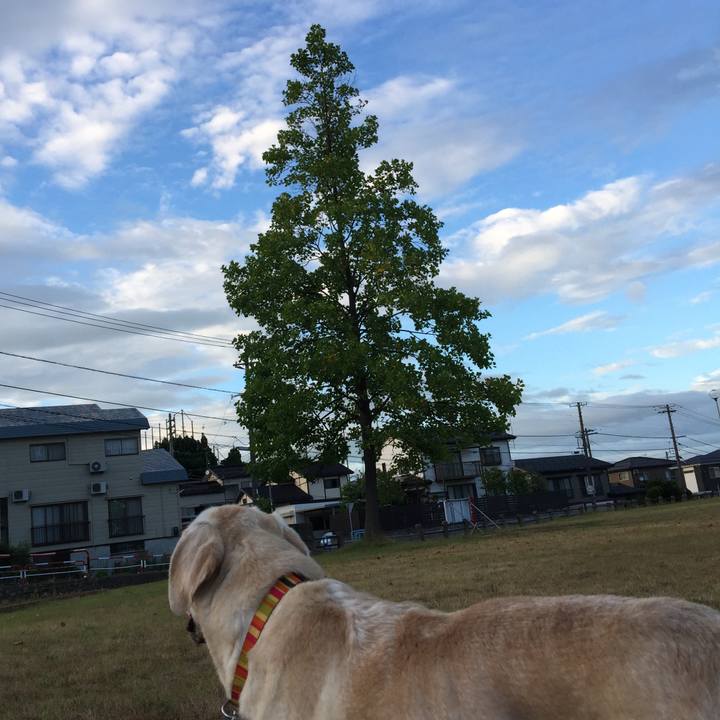 E9ed5e8c ab77 408b 8708 4e9b439716e3 1533723516694