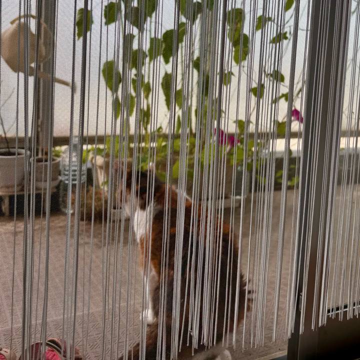 E9ed79ec 5695 4e63 8842 25fe31ede211 1719016297930