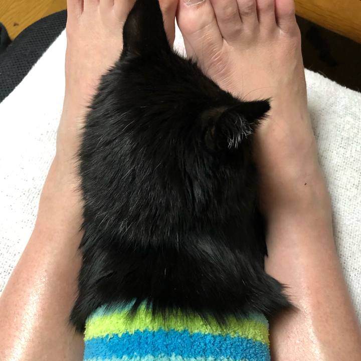 E9ed8bc1 ffc4 4751 a73f ec4d81b60c92 1609156811087