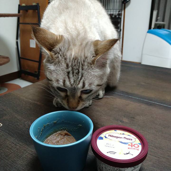 E9ed96fb b587 4d3f 98b8 f69bcf7a7bc0 1724669425958