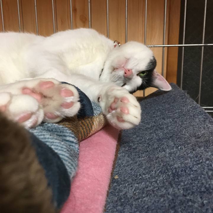 E9edc985 f7eb 4d1c 9cc1 74451adc3e83 1509884645148