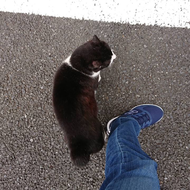 E9edf9bf 2099 40d7 94b1 bc7f3011d1f4 1683846958879