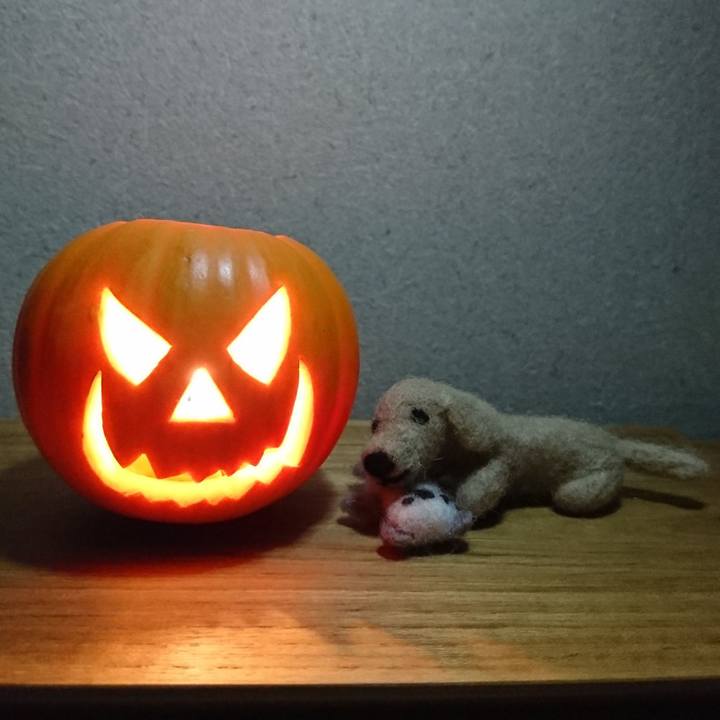 E9edfea9 4867 4596 ba04 c4b96edad314 1571072035732