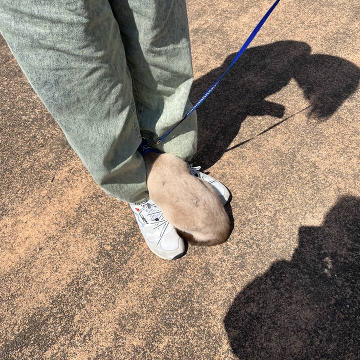 E9ee12a1 0878 46b1 861e 71d0a6abb4c2 1712966698849