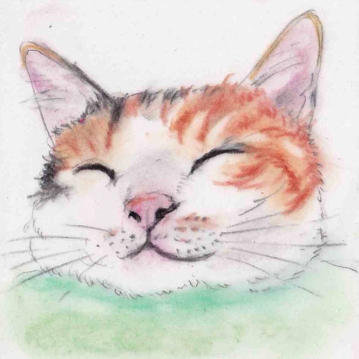 E9ee272c c162 48aa 9206 b925cc727c6a 1654043073531