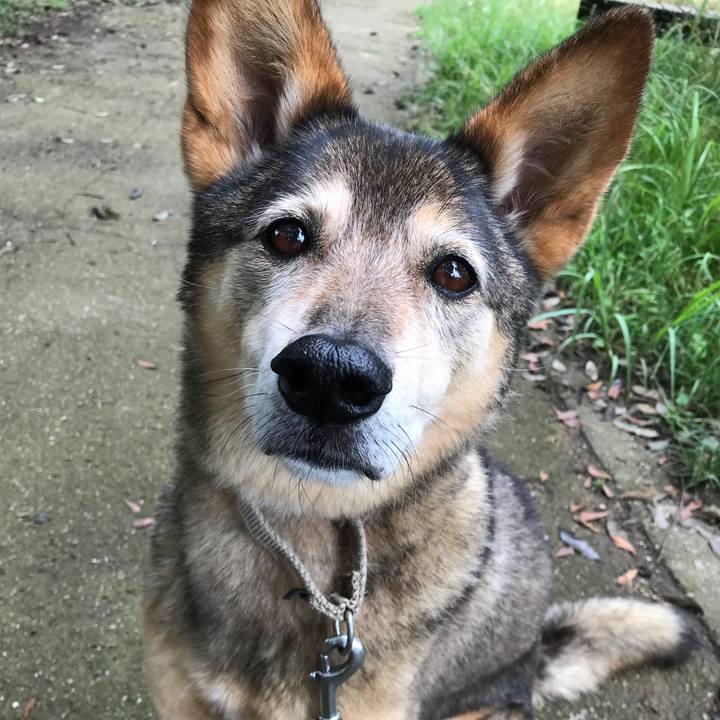 E9ee38f6 3714 4814 94fb 480e5c35991f 1529130264615