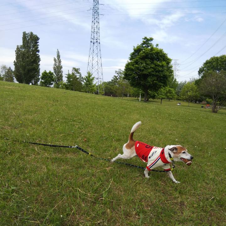 E9ee4f76 9789 42e8 b16a 850889b4da6b 1525588277191