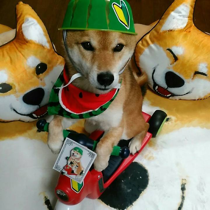 E9ee7d19 2c7d 469d 9056 552e0f554703 1565840707260