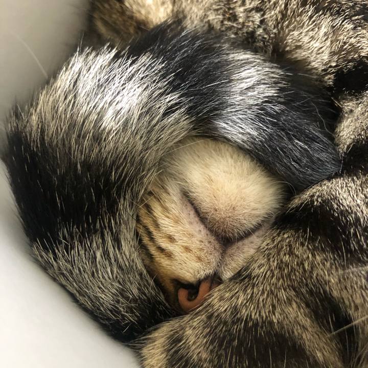 E9ee96ed 4fa1 4d25 8438 010b6382fa46 1600442567889