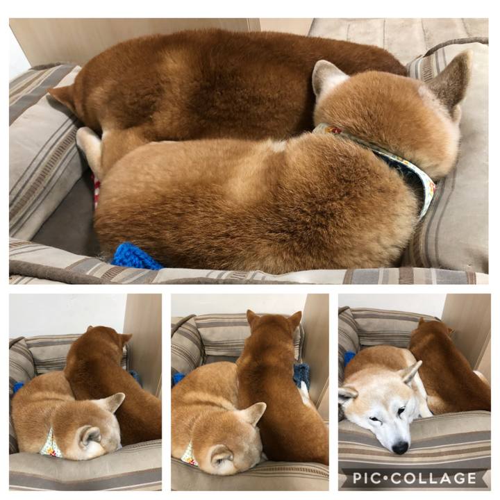 E9eebd31 1f33 49fe 9d3b 879859d367be 1546252809575