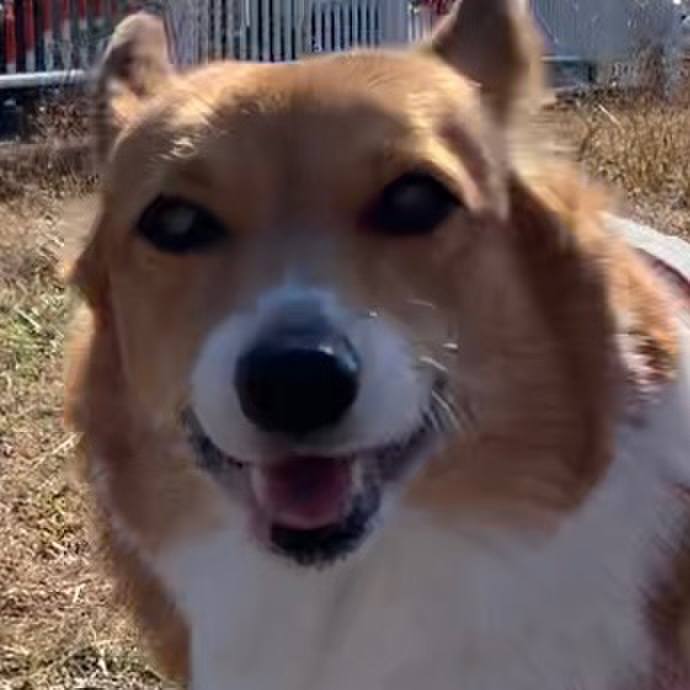 E9eec00e eae6 4c1d a2df 49d40f729355 1673065404500