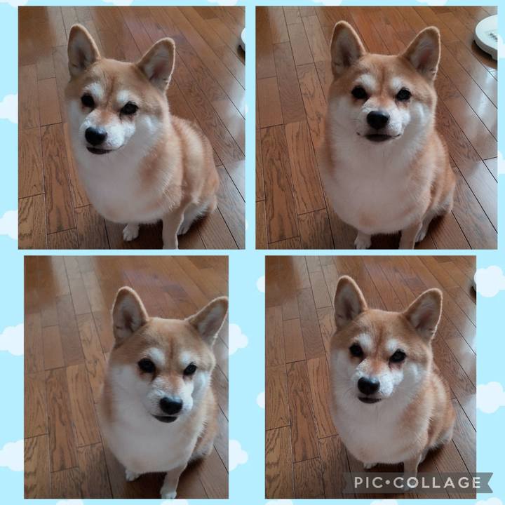 E9eed215 4e58 4610 b0bf 4ba91634ec2f 1756278500159