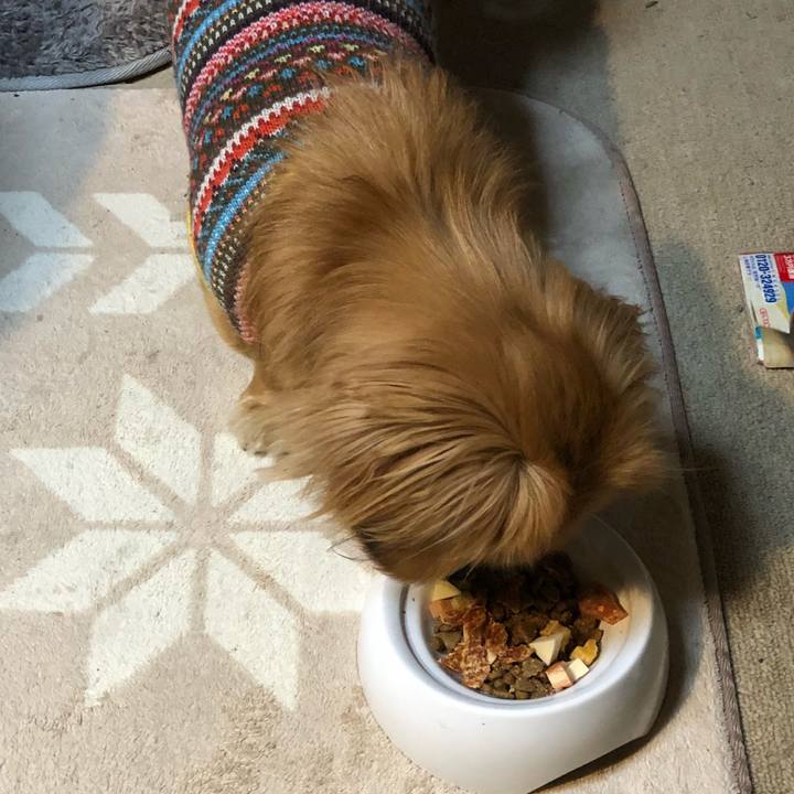 E9eed4a0 cf5e 405a a935 daad3268e917 1519164723885