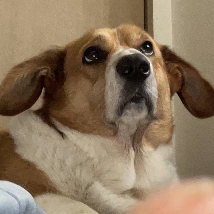 E9eedd20 f186 4ab2 aece b29d1087c91d 1752291647801