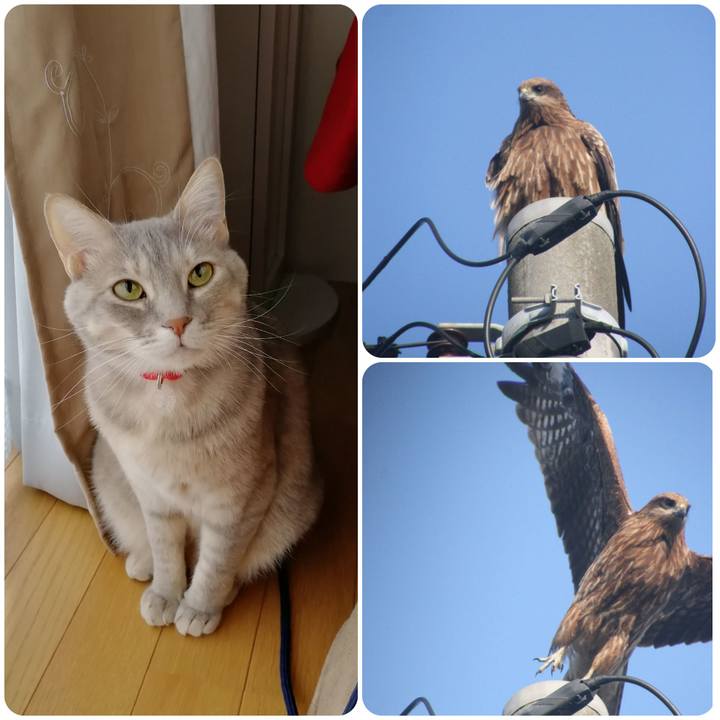 E9eef733 7d80 4258 a151 2c94d65fa6fa 1551064826249