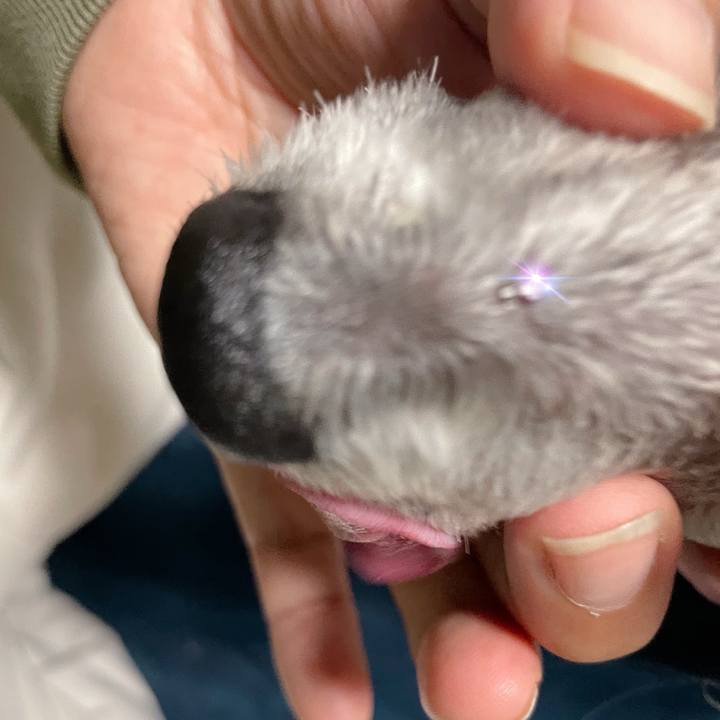 E9eefa30 f7b8 4331 b369 5be15ce3f05d 1760861032704