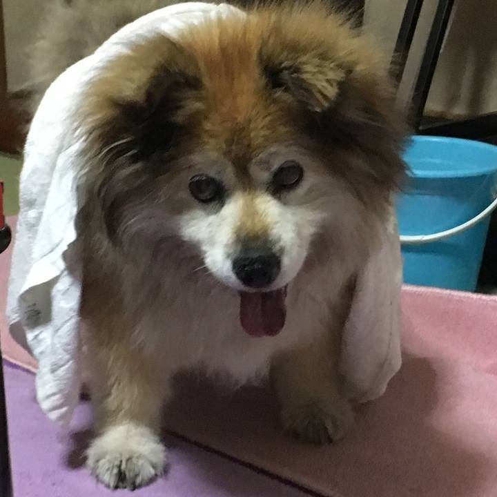 E9ef0179 80b6 4525 a7c1 6b747a569bbe 1596396401222