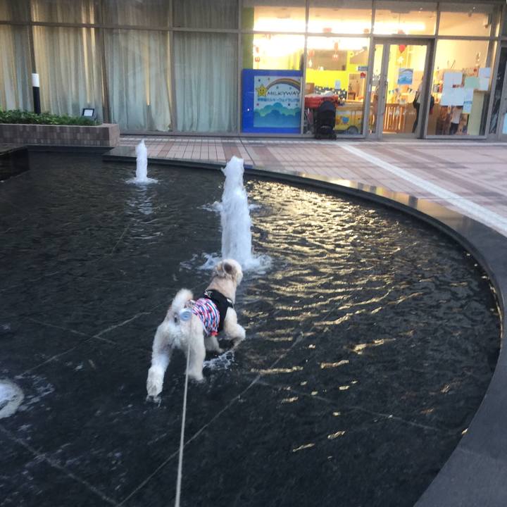 E9ef62b0 bd41 496b bbe0 089665f30ff5 1533125135767