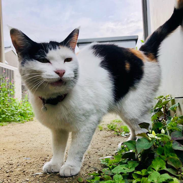 E9ef7ec0 b76b 4e1c 8807 3aa06ecc3e92 1620685015841