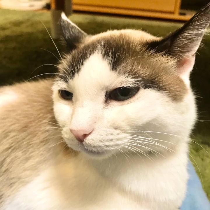 E9ef8c10 9705 405d 81b2 ff9f89ad1203 1578643232336